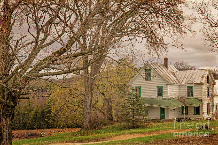 Old New England House Photograph by Alana Ranney