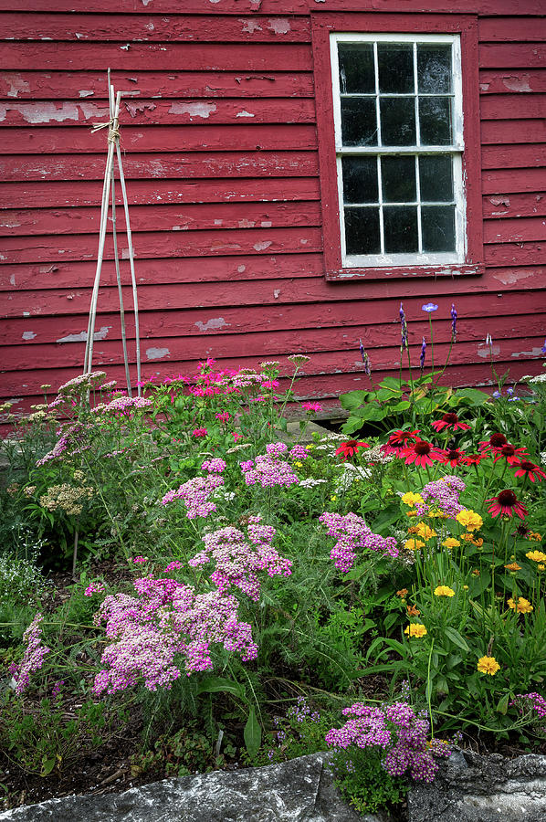 Old New England Summer Photograph by Bill Wakeley