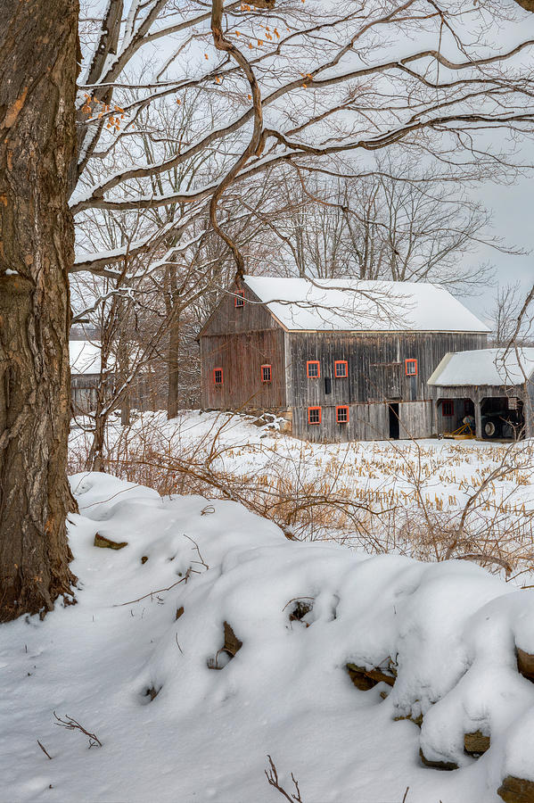 Old New England Winter 2016 Photograph by Bill Wakeley
