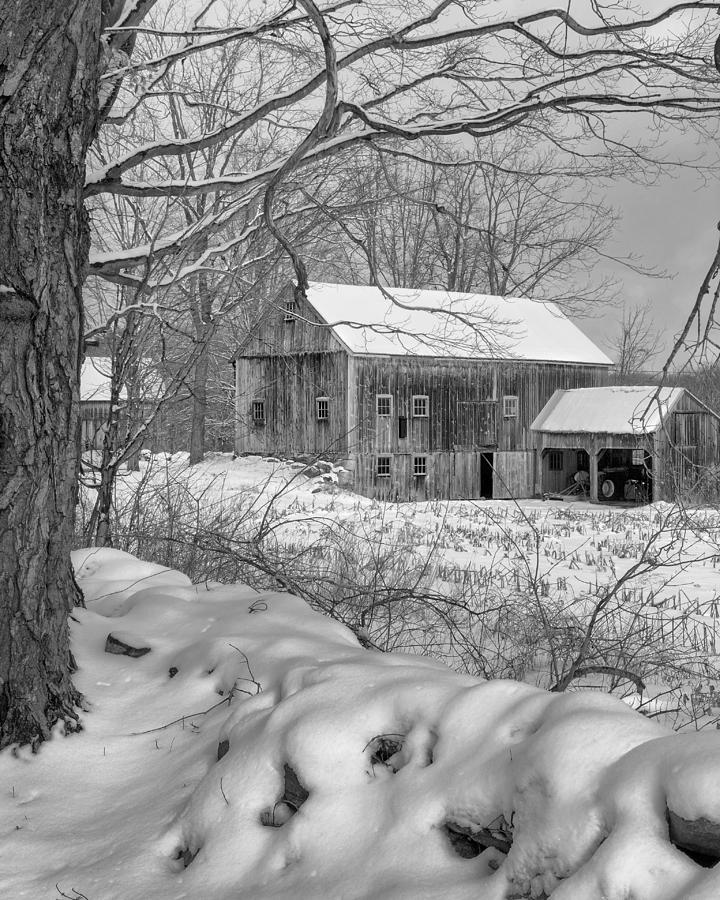 Old New England Winter 2016 bw Photograph by Bill Wakeley