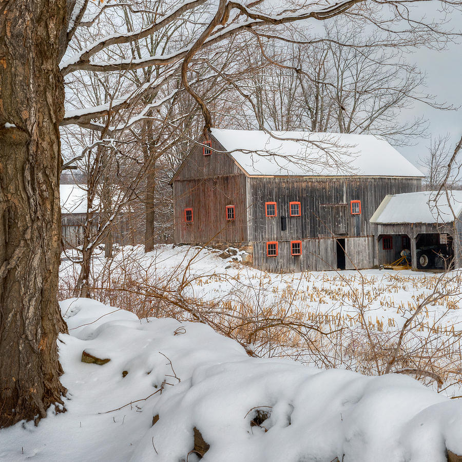Barn Photograph - Old New England Winter 2016 Square by Bill Wakeley