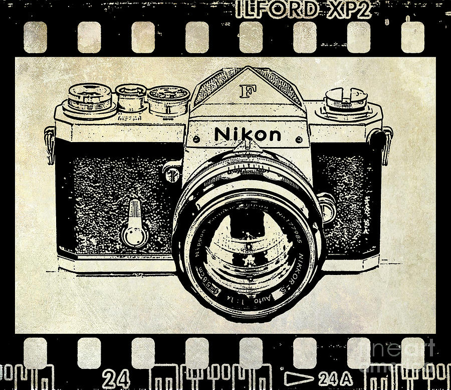 vintage nikon cameras