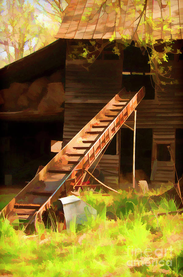 Old North Carolina Barn and Rusty Equipment   Photograph by Wilma Birdwell