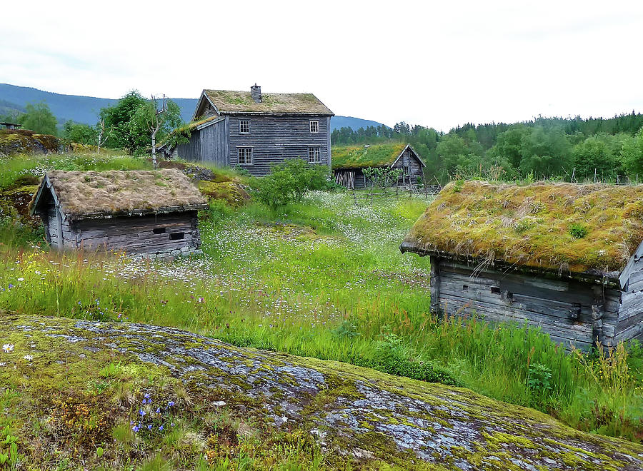 Old Norwegian Farm Photograph