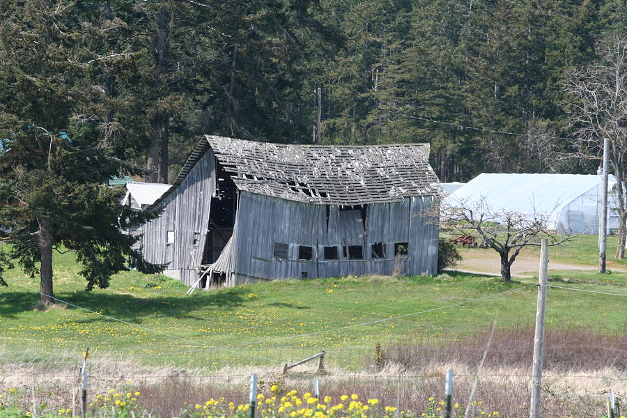 Old Oak Harbor Barn BA 9209 Photograph by Mary Gaines