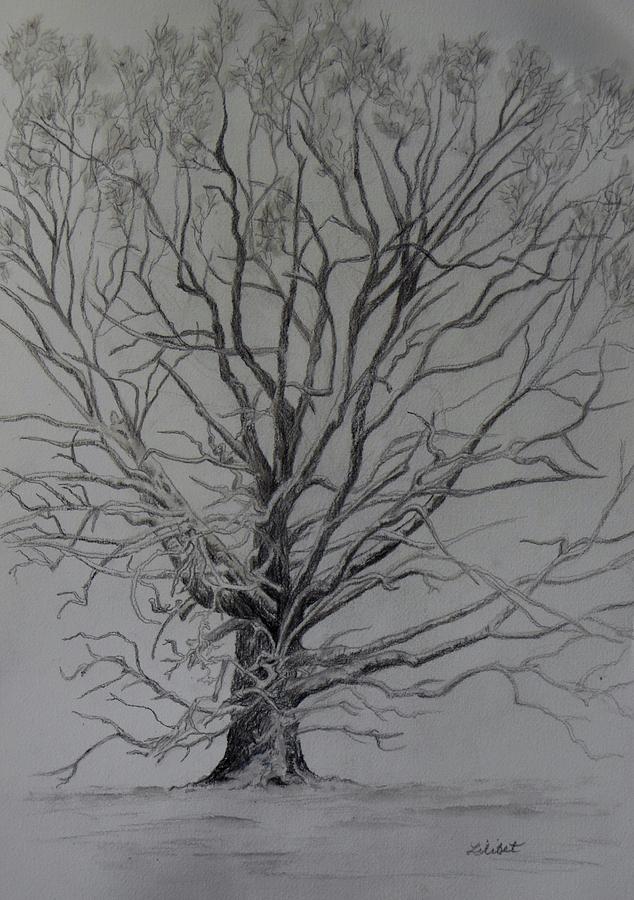 Old Oak Tree in Snow Painting by Lil Taylor