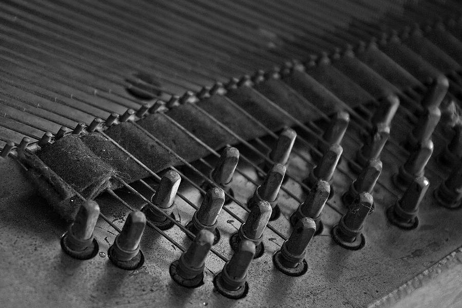 Old Octave Photograph by Lionel Martinez Old Octave Photograph by Lionel Martinez