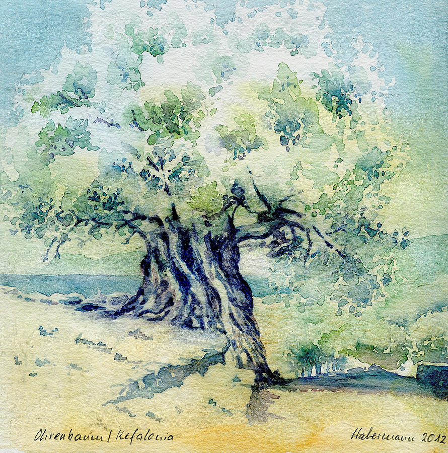 Old olive tree Painting by Thomas Habermann