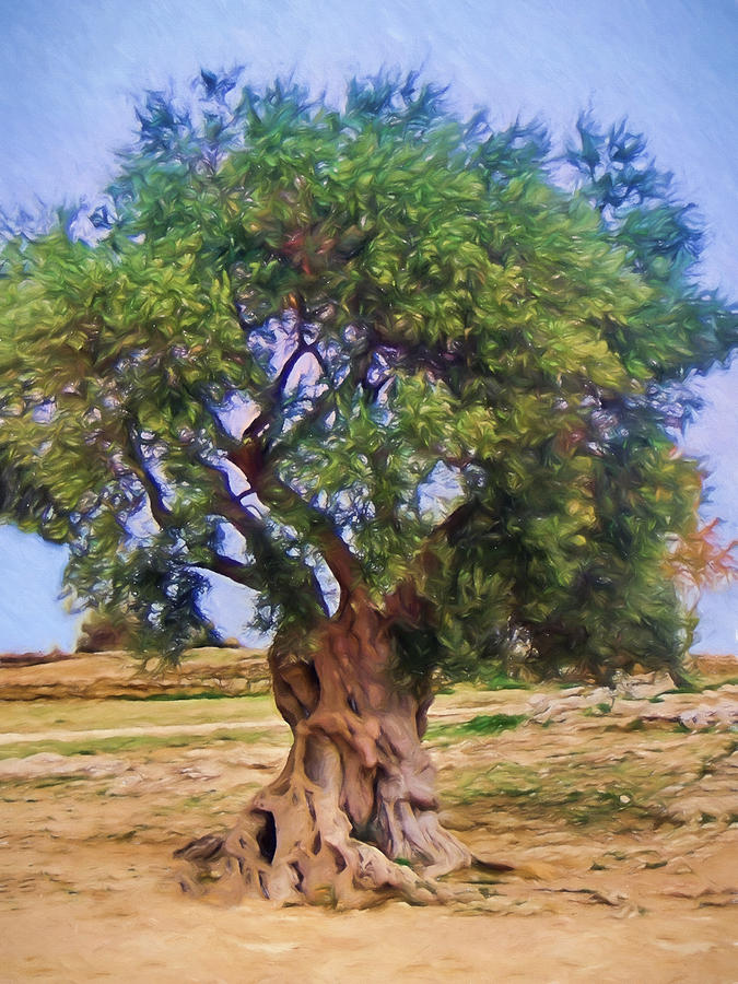 Old Olivetree Painting by Lutz Baar