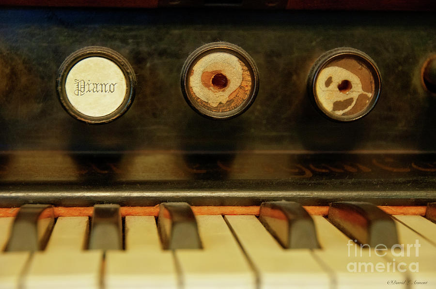 Old Organ Keys Photograph by David Arment