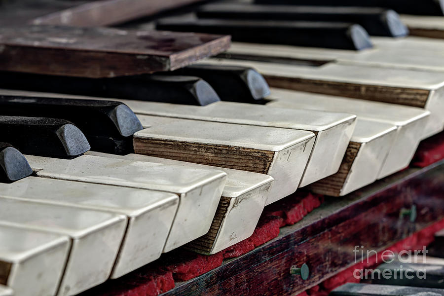 Old organ keys Photograph by Michal Boubin