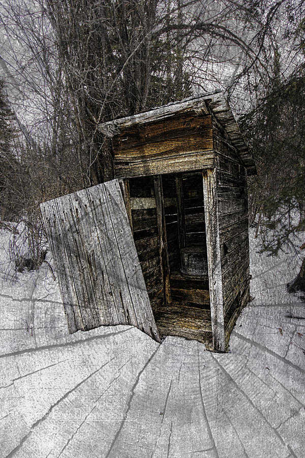 Old Outhouse Photograph by Fred Denner