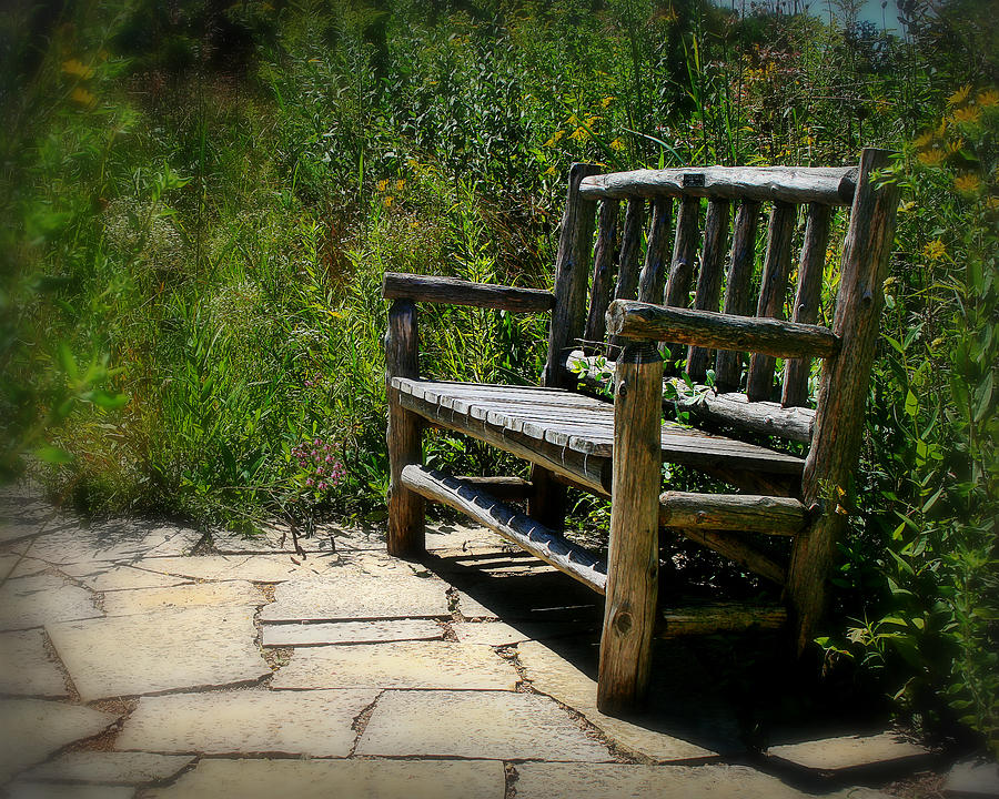 Flower Photograph - Old park bench by Perry Webster