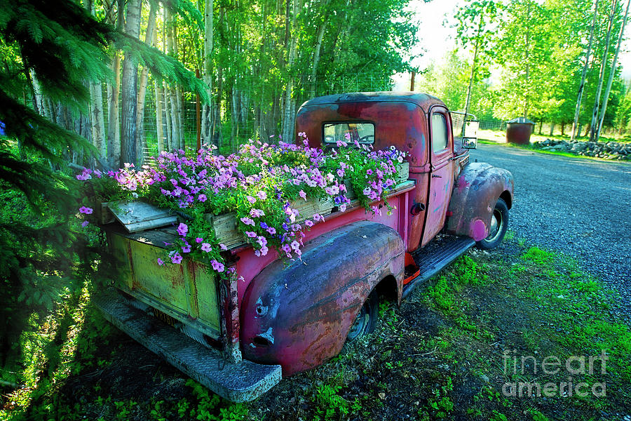 Old Pickup Truck as Flower Bed Photograph by David Arment