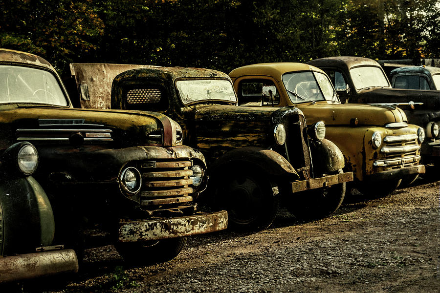 Old Pickup Trucks in a Row by Straublund Photography