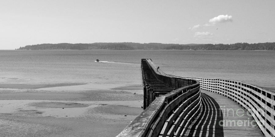 Old Pier in Indianola WA Photograph by Tatyana Searcy