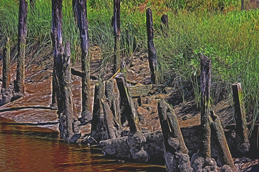Abstract Photograph - Old Pier Pilings  by Garry Gay