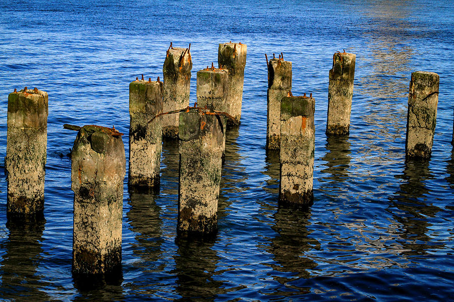Old Pier Pillars 2 Photograph by Bonnie Follett