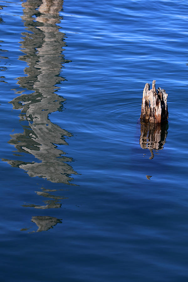 Old Piling and Reflection 2 Photograph by Mary Bedy