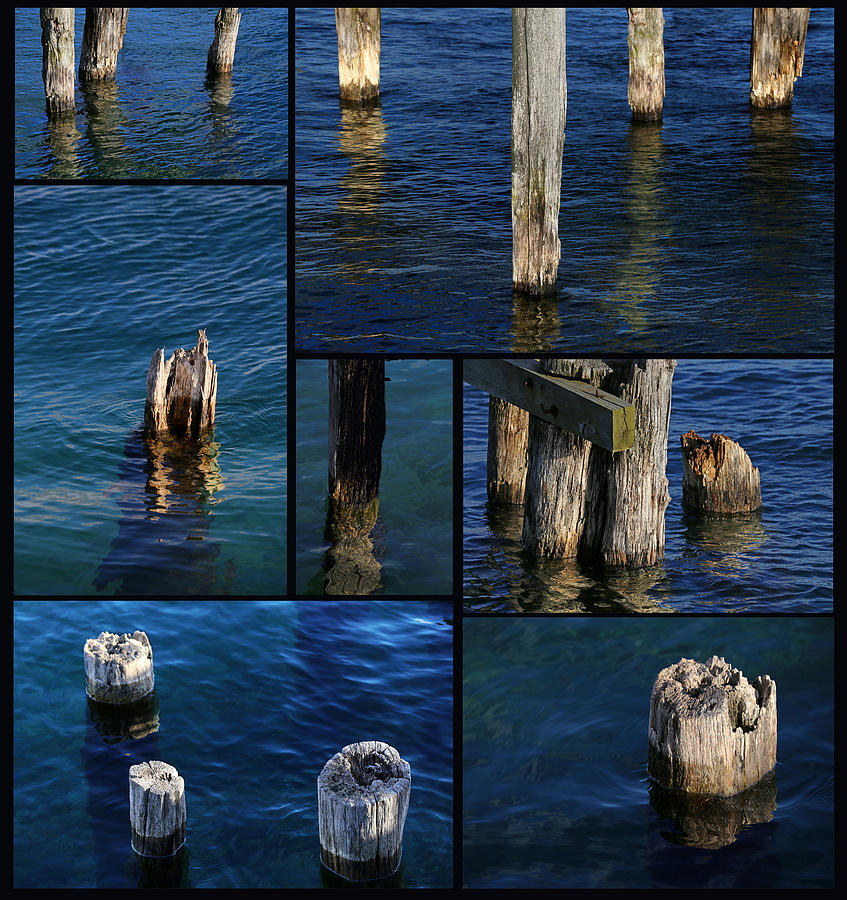 Old Pilings 3 Photograph by Mary Bedy