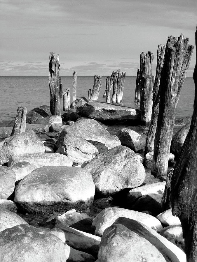 Old Pilings and Rocks 012518 BW Photograph by Mary Bedy