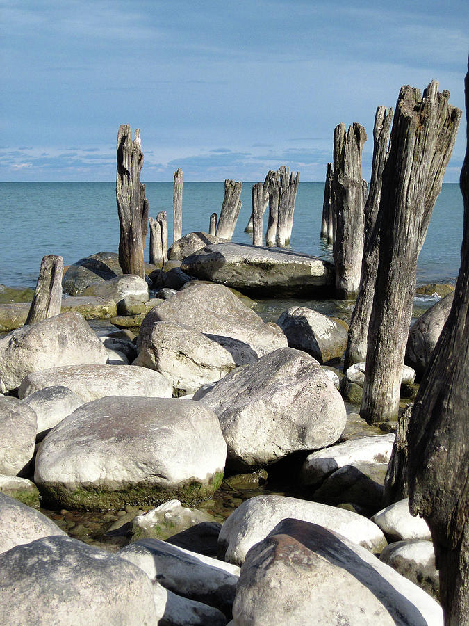 Old Pilings and Rocks 012518 Photograph by Mary Bedy