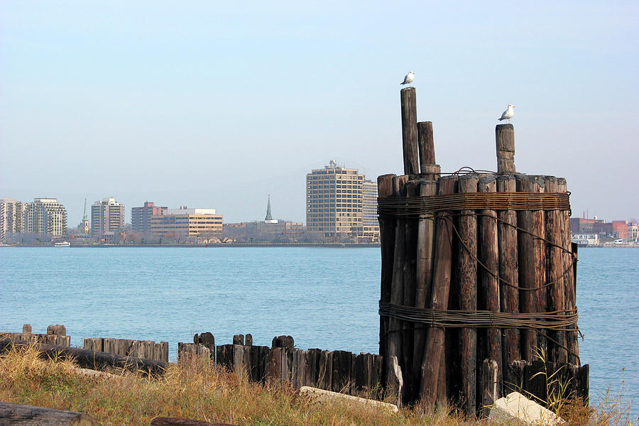 Old Pilings and Sarnia Photograph by Mary Bedy