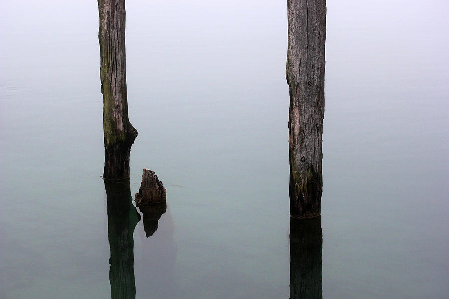 Old Pilings in Fog 50 Photograph by Mary Bedy