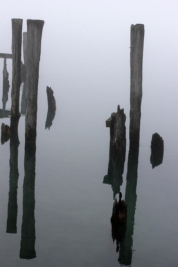 Old Pilings in Fog 51 Photograph by Mary Bedy