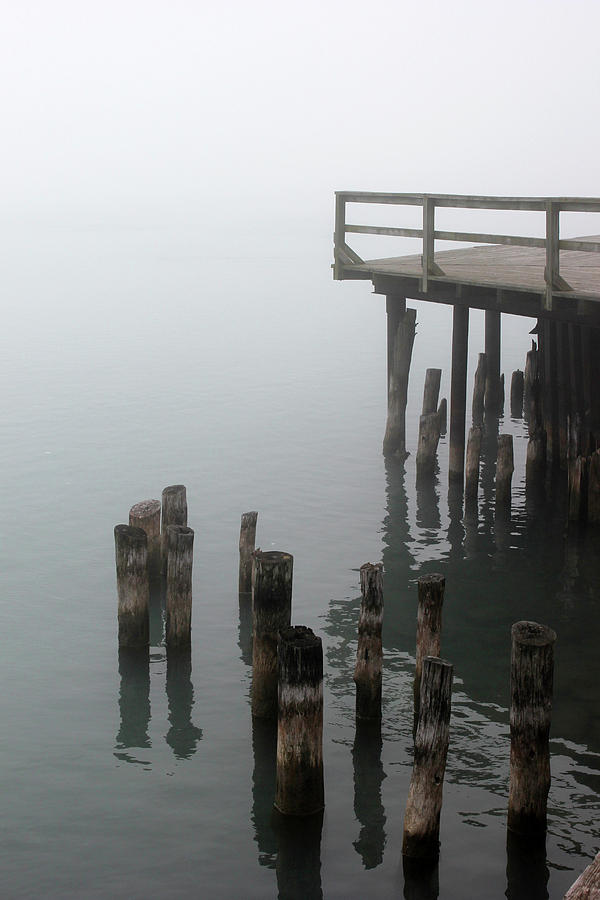 Old Pilings in Fog 52 Photograph by Mary Bedy