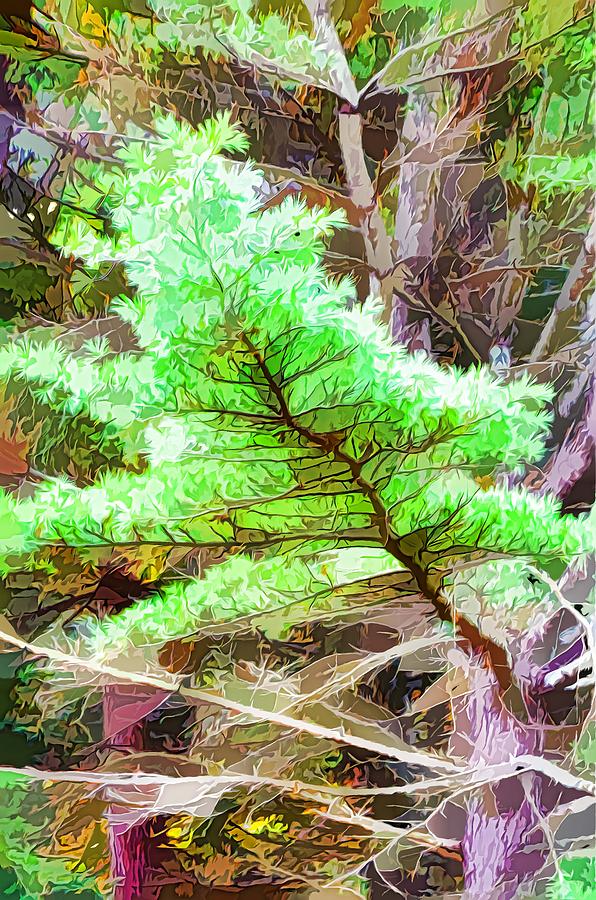 Summer Painting - Old pine tree 1 by Jeelan Clark