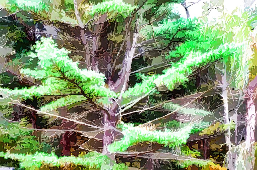 Summer Painting - Old pine tree by Jeelan Clark