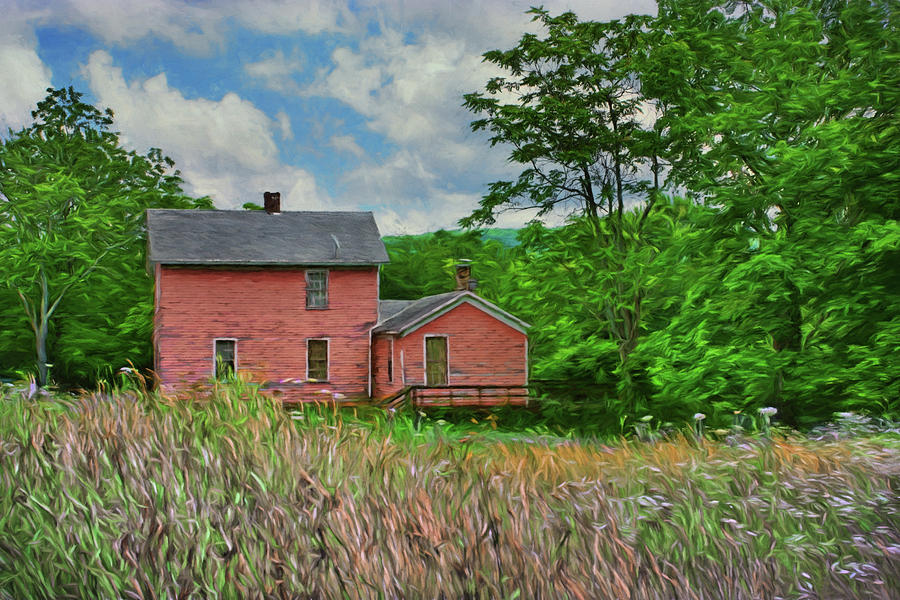 Old Pink Farmhouse Photograph by Nikolyn McDonald