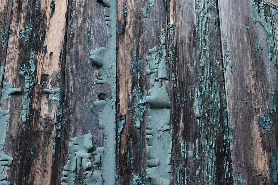 Old Plank Wall Photograph by Curtis Krusie