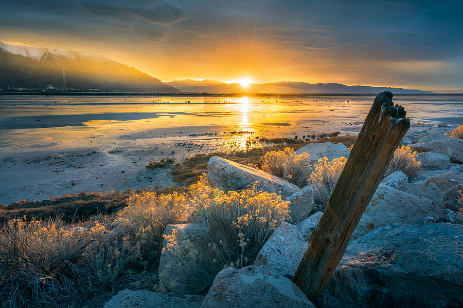Old Post At The Great Salt Lake Photograph
