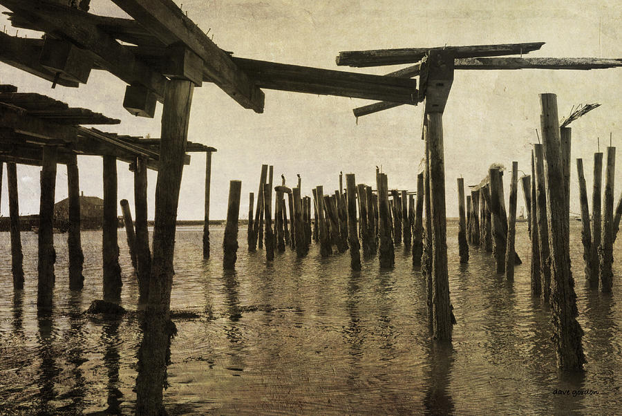 Old Provincetown Wharf Photograph by David Gordon