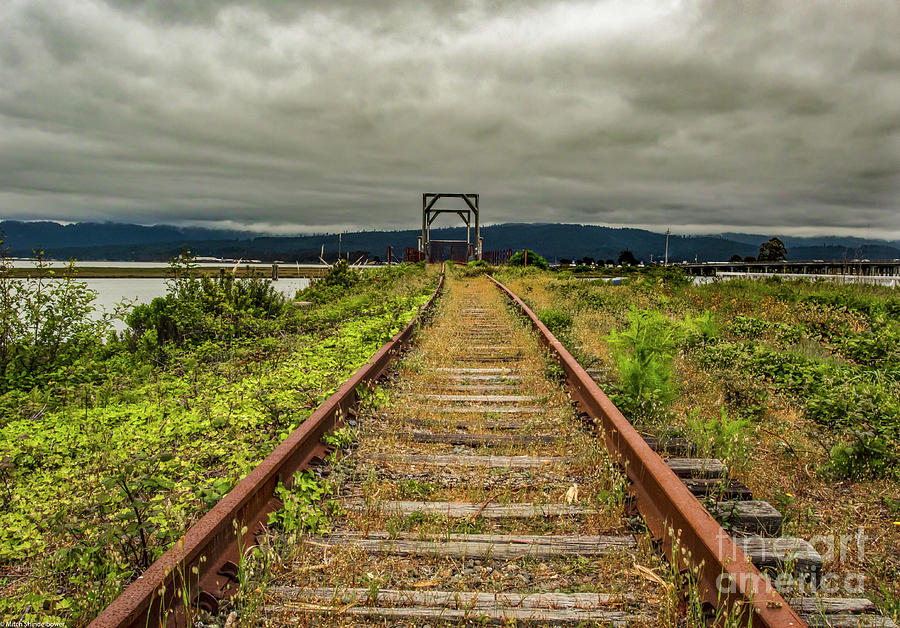 Old Rail Photograph by Mitch Shindelbower
