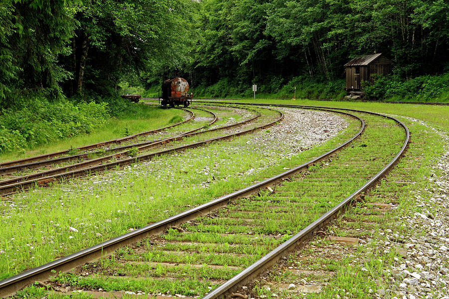 Old Railroad Tracks - 365-102 Photograph by Inge Riis McDonald