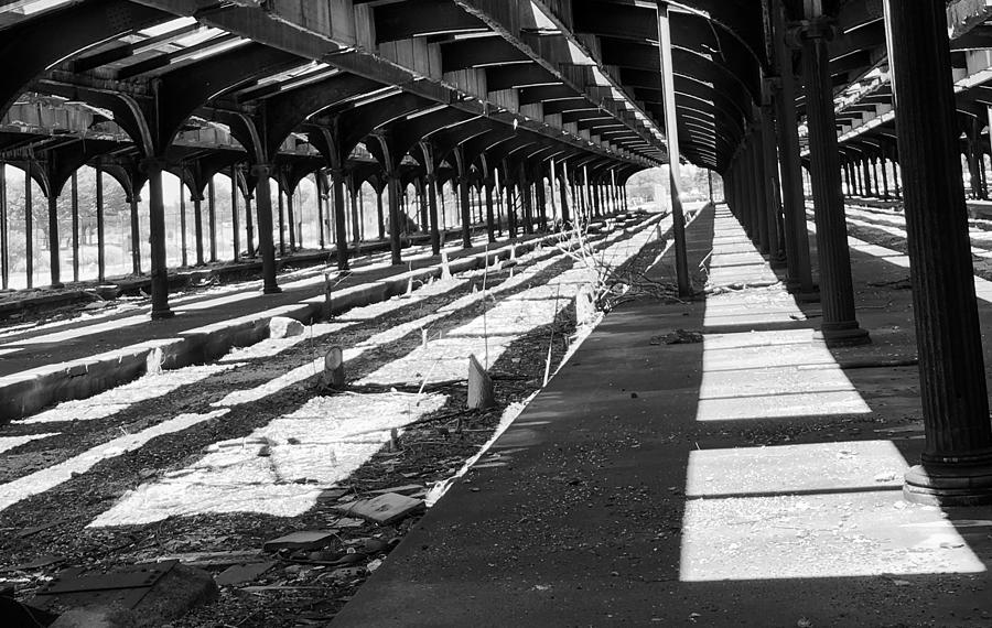 Old railway lines of jersey  Photograph by Dottie Visker