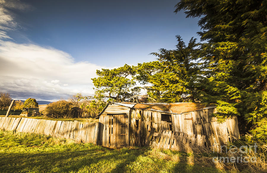Old ramshackle wooden shack Photograph by Jorgo Photography