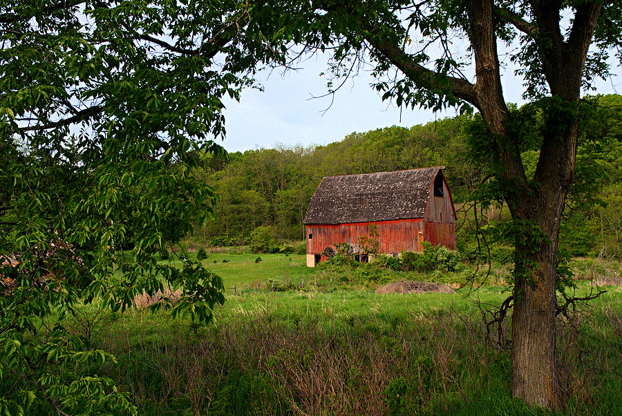 Landscape Photograph - Old Red Barn by Larry Ricker
