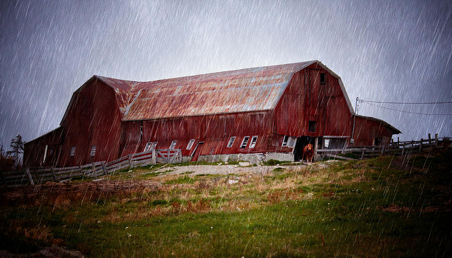 Old Red Barn Photograph by Maggie Terlecki