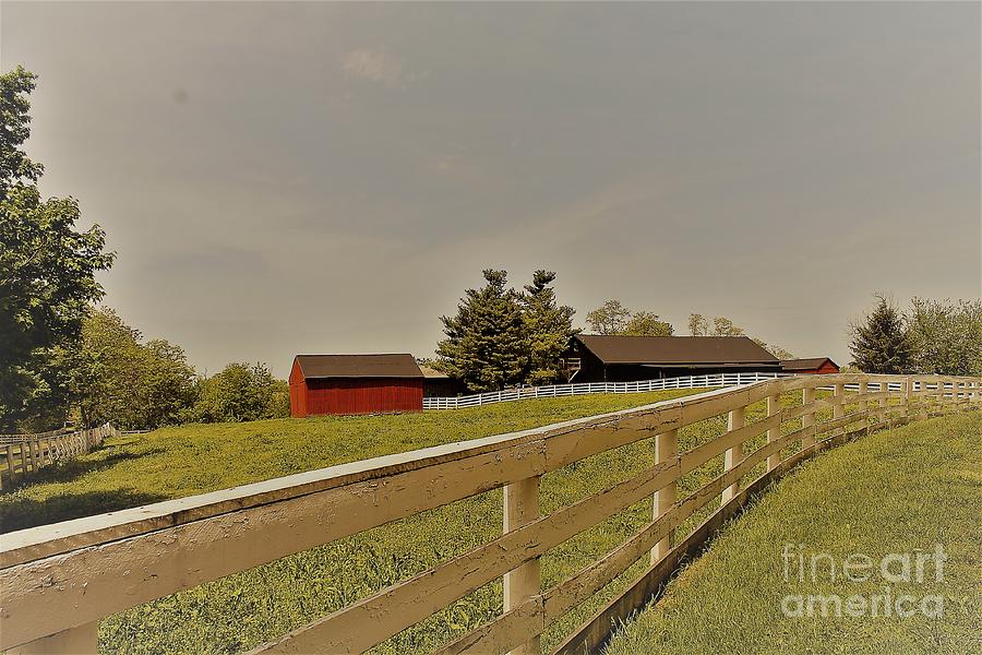 Old Red Barn Photograph by Carol Riddle