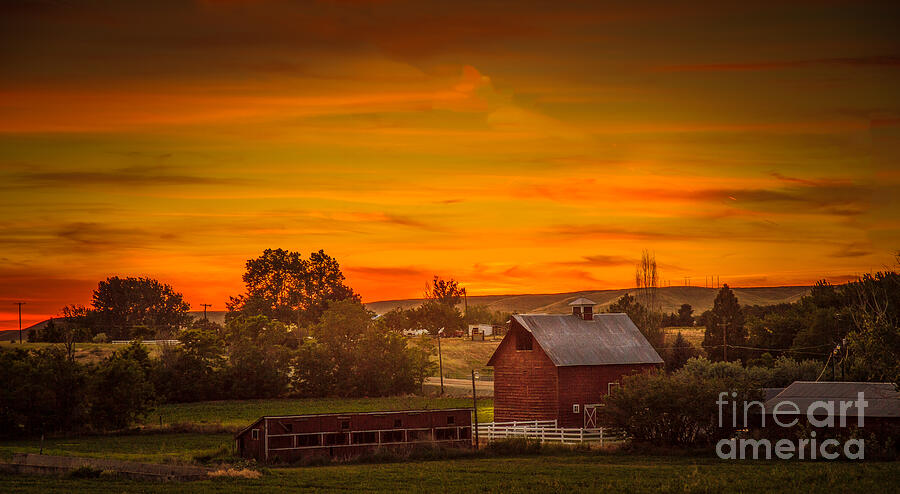 Old Red Barn Photograph by Robert Bales