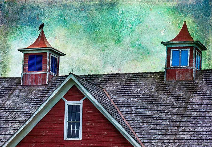 Old Red Barn Roof With Vulture Photograph by Anna Louise