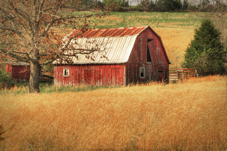 Landscape Photograph - Old Red Barn by Tamyra Ayles