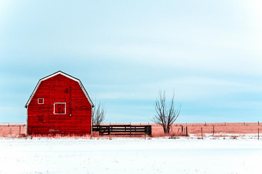 Old Red Barn Photograph by Todd Klassy