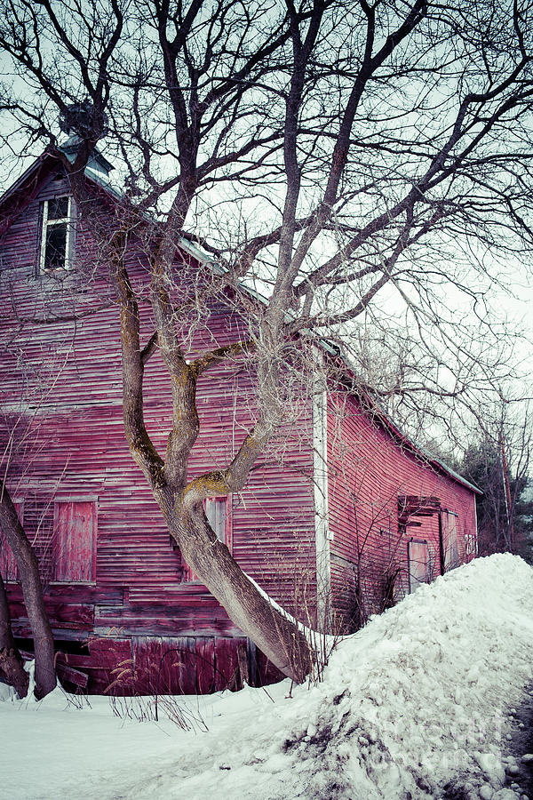 Old Red Barn Winter in Vermont Photograph by Edward Fielding