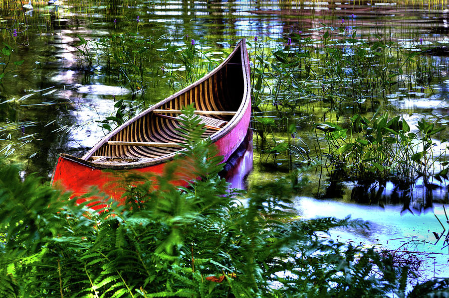 Old Red Canoe Photograph by David Patterson