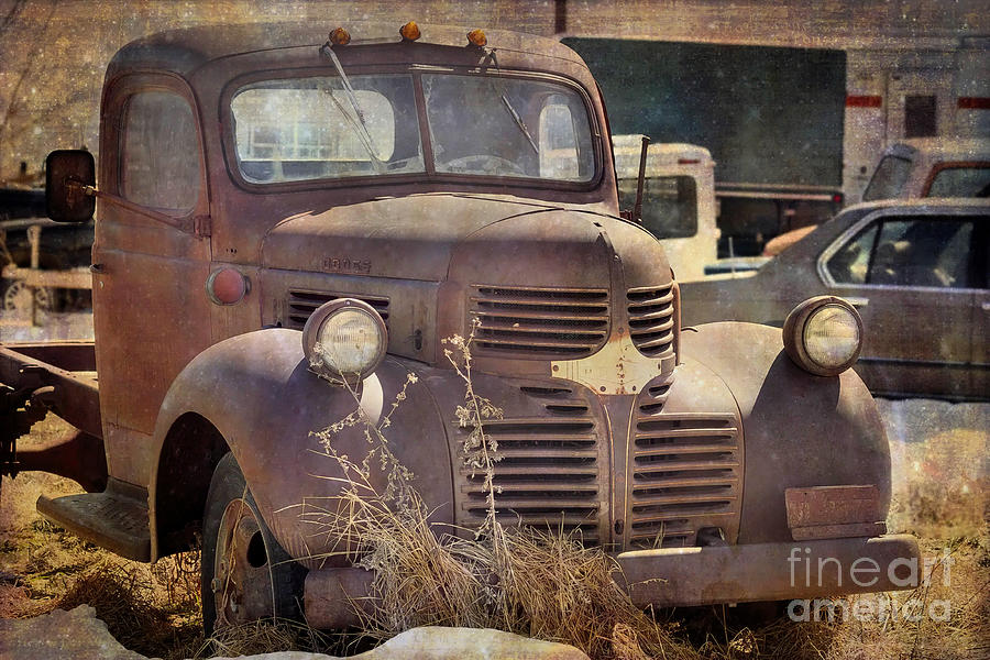 Transportation Photograph - Old Red Dodge Truck by Janice Pariza